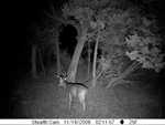 This was the first time we ever set up the wildlife camera.
