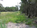 Update. Photo taken 8-14-2007