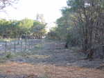 Before grass seed was planted - Nov. 2, 2006