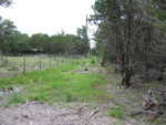 After grass seed was planted. This is after a lot of rain. Jun 23, 2007. 