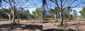 Before and after 1