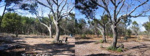 Before and after 2