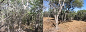 Before and after 3