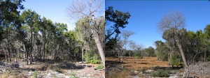 Before and after 4