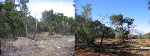 Before and after 5