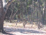 Looking NW (before)
