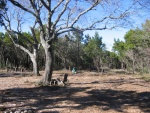 Looking North (before)