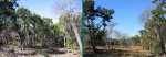 Before and After