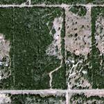 Highlight for Album: Maps and Aerial Photographs