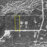 1995 Aerial Photo