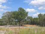 From where the cabin porch will be (zoomed in a little)