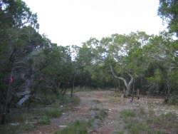 About 100 Feet in - Before