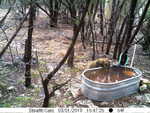 PICT0773